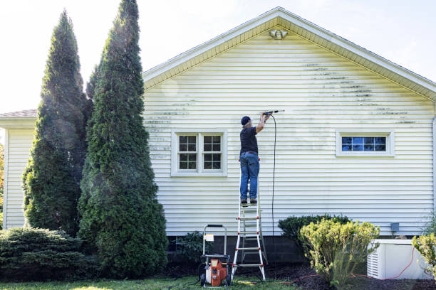 Best Graffiti Removal  in Carnegie, OK